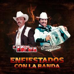 El Rayo de Sinaloa