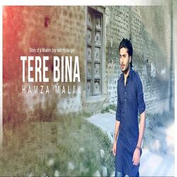 Tere Bina