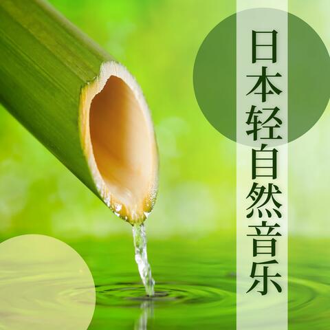 日本轻自然音乐: 森林的声音放松心情, 放松你的头脑, 瑜伽和休息