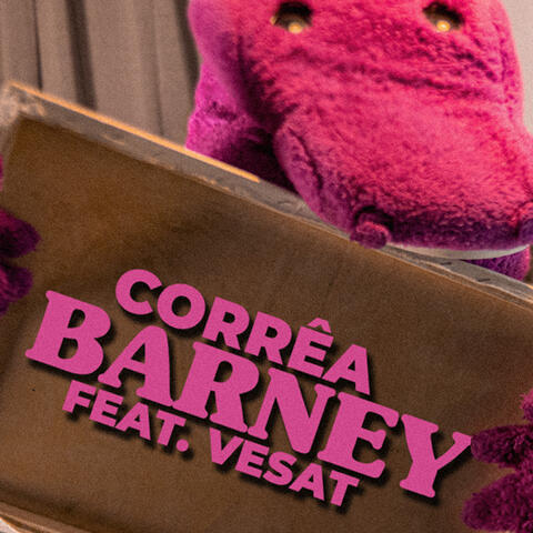 Corrêa OG & Vesat