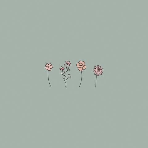 Flower Bed / Small Spaces