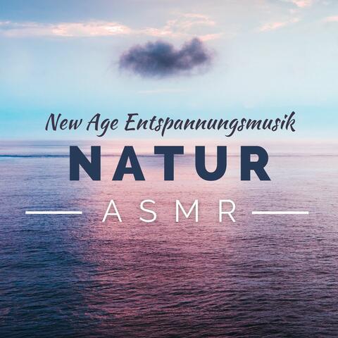 Natur ASMR: New Age Entspannungsmusik mit Regen, Vögel und Wasser Geräusche