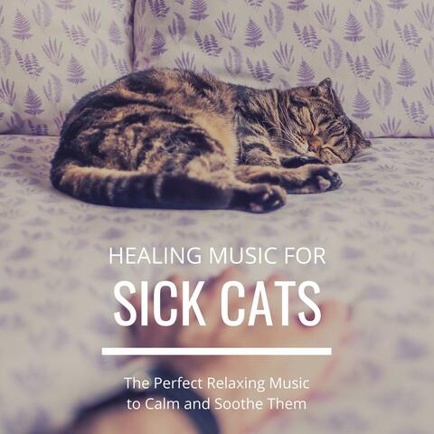 Healing Music for Sick Cats: The Perfect Relaxing Music to Calm and Soothe Them