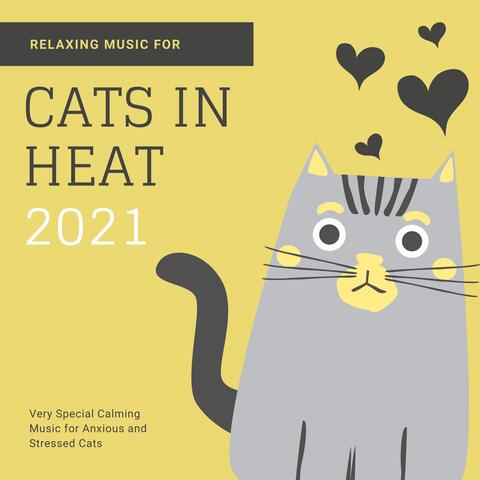 Relaxing Music for Cats in Heat 2021: Very Special Calming Music for Anxious and Stressed Cats