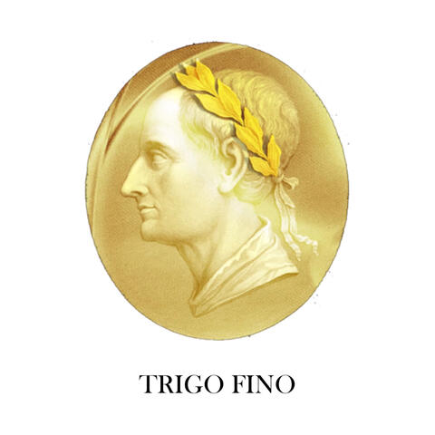 Trigo Fino