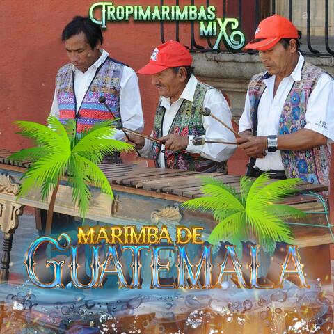 Tropimarimbas Mix