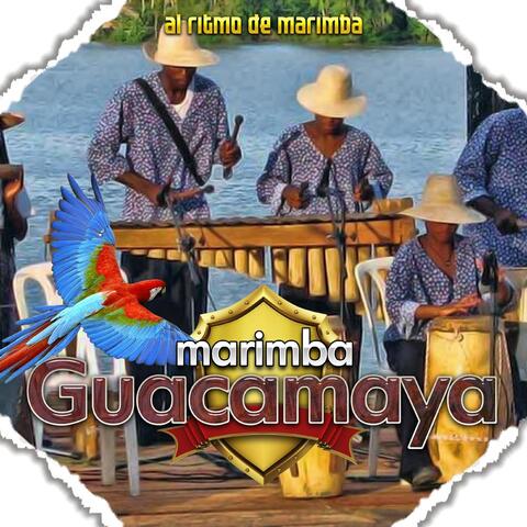 Al Ritmo de Marimba
