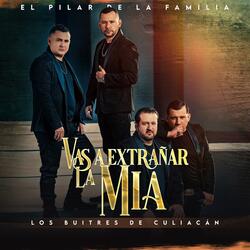 El Pilar De La Familia
