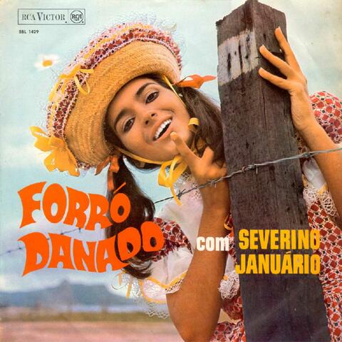 Forró danado