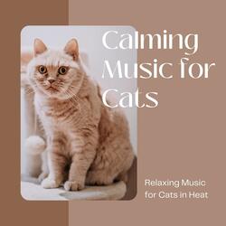 Calming Music for Cats