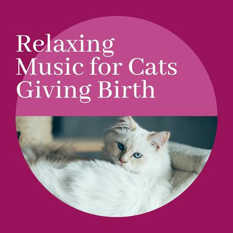 Relaxing Music for Cats Giving Birth