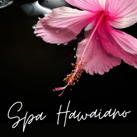 Spa Hawaiano: Música de Relax para Tratamientos de Spa, Sonidos de Playa Tropical