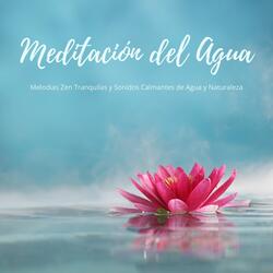 Meditación Holística