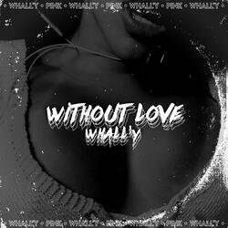 Without Love