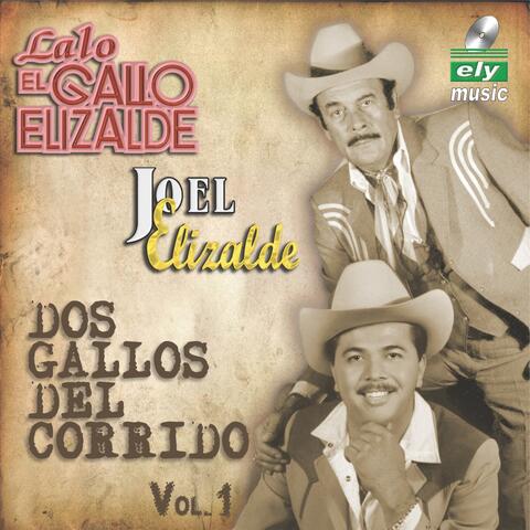 LALO EL GALLO Y JOEL ELIZALDE "DOS GALLOS DEL CORRIDO VOL 1