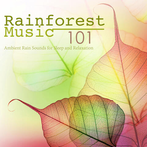 Rainforest Music 101: Free Your Mind & Relax Better with Ambient Rain Sounds for Sleep and Relaxation
