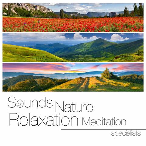 Relaxing Sounds of Nature White Noise Waheguru