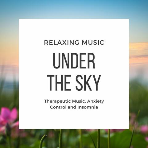 Relaxing Music Under the Sky: Therapeutic Music, Anxiety Control and Insomnia