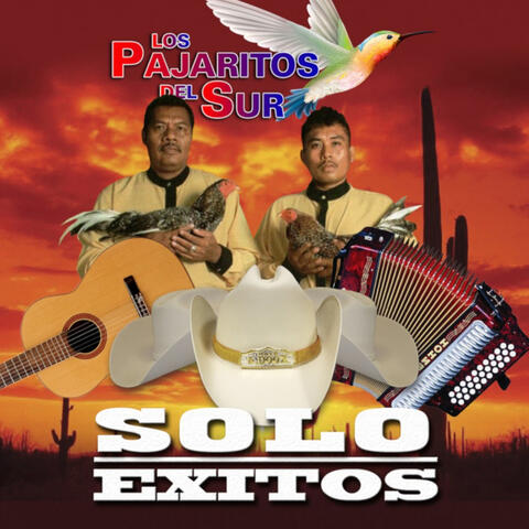 Solo Exitos