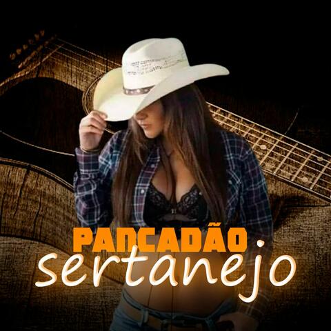 Mega Pancadão Sertanejo #002