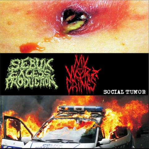 Tracks Off Split W/ My War Crimes