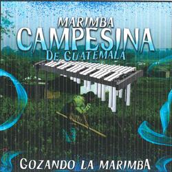 Danza del Barrilete