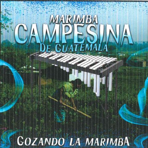 Gozando La Marimba