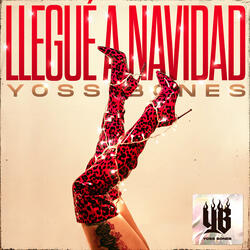 Llegué a Navidad