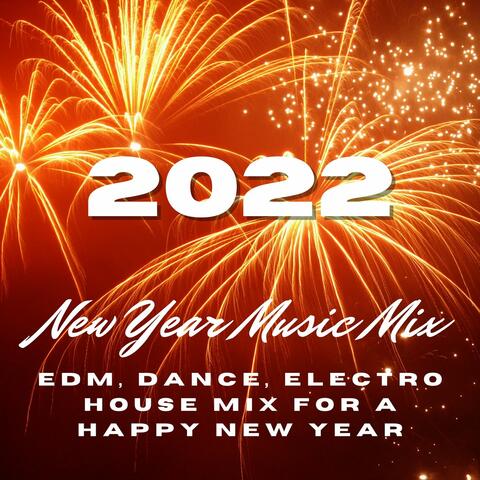 New Year Dance Party Dj