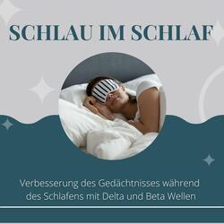 Schlau im Schlaf