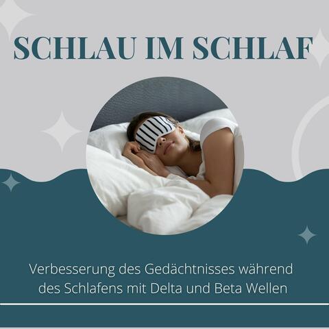 Schlau im Schlaf: Verbesserung des Gedächtnisses während des Schlafens mit Delta und Beta Wellen