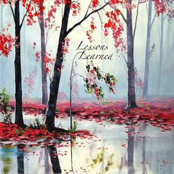 Lessons Learned