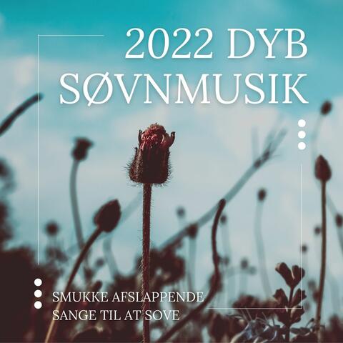 2022 Dyb Søvnmusik: Smukke Afslappende Sange til at Sove