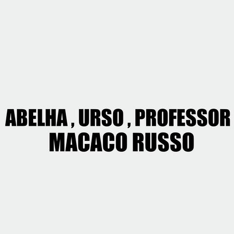 ABELHA, URSO, PROFESSOR MACACO RUSSO