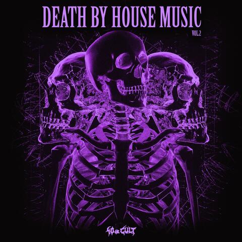 Death By House Music, Vol. 2