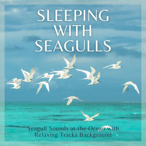 Sleeping with Seagulls: Seagull Sounds at the Ocean with Relaxing Tracks Background