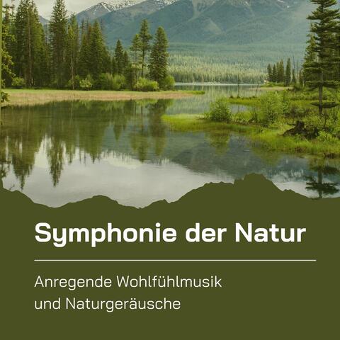 Symphonie der Natur: Anregende Wohlfühlmusik und Naturgeräusche