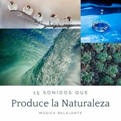 15 Sonidos que Produce la Naturaleza: Música Relajante