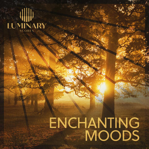 Enchanting Moods