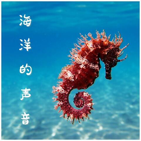 海洋的声音：让平静的水声，环境音乐，放松效果的波浪声，海洋的白噪音，海滩上休息