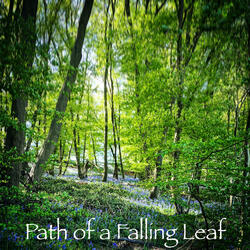 Path of a Falling Leaf