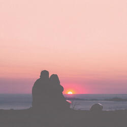 what the heart wants