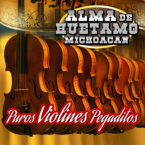 Puros Violines Pegaditos