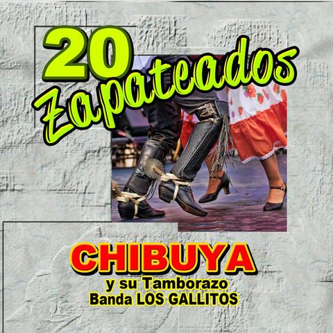 20 Zapateados
