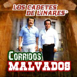 Los Dos Amigos