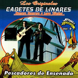 No Hay Novedad