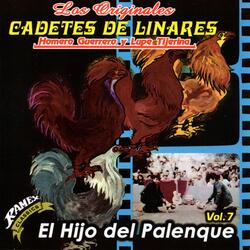 Mi Unico Camino