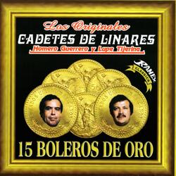 Sabor de Engaño