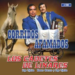 El Corrido De Los Perez