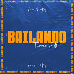 Bailando (Turreo Edit)